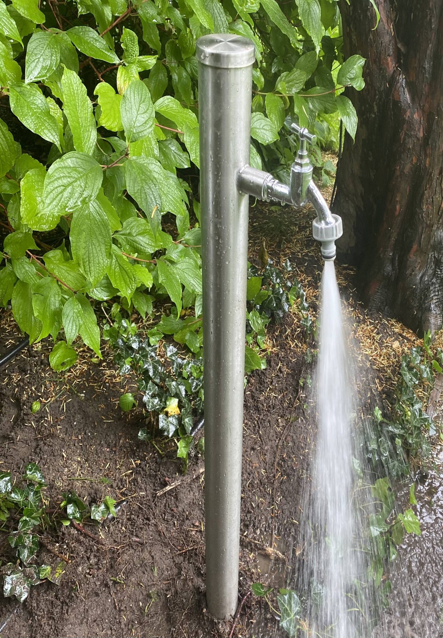 Foto Brunnen Slide 2 _